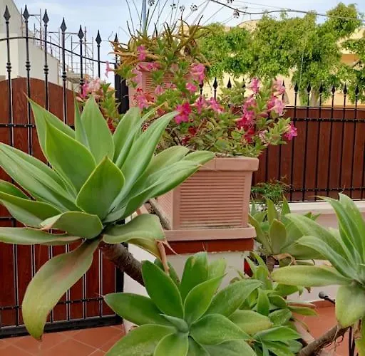 Casa Lea Апартаменты *